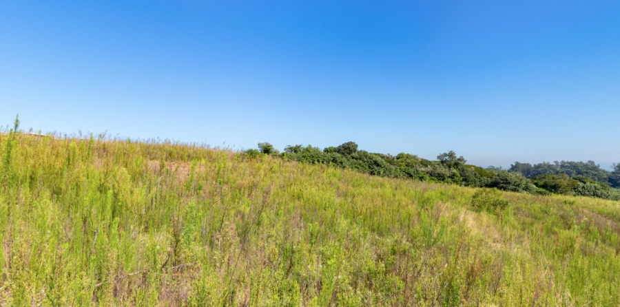 0 Bedroom Property for Sale in Sibaya Precinct KwaZulu-Natal