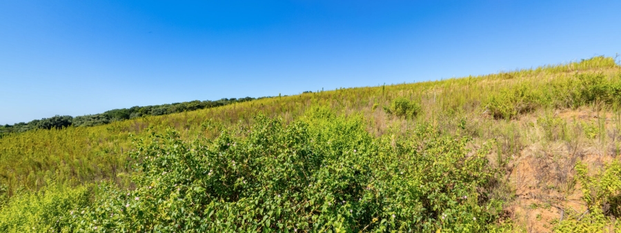 0 Bedroom Property for Sale in Sibaya Precinct KwaZulu-Natal