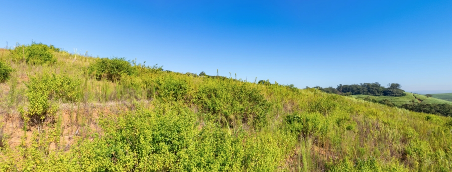 0 Bedroom Property for Sale in Sibaya Precinct KwaZulu-Natal