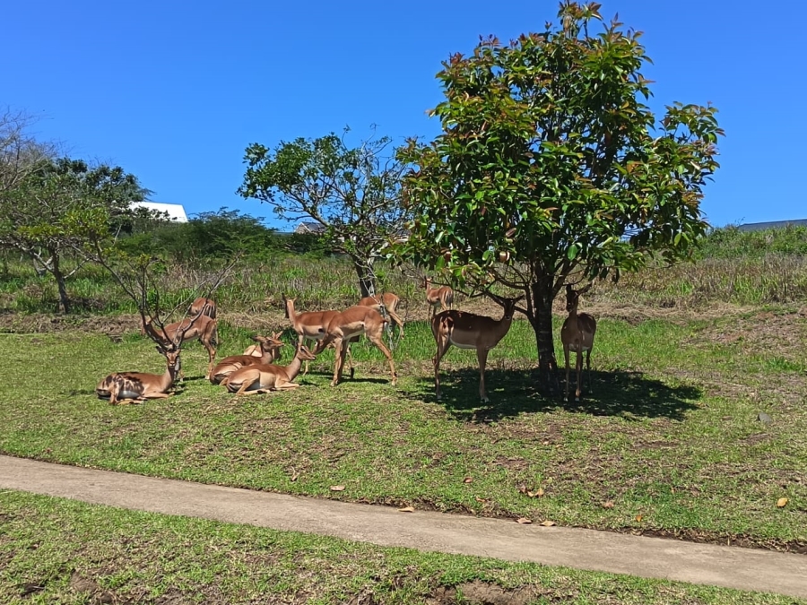 4 Bedroom Property for Sale in Springvale Country Estate KwaZulu-Natal