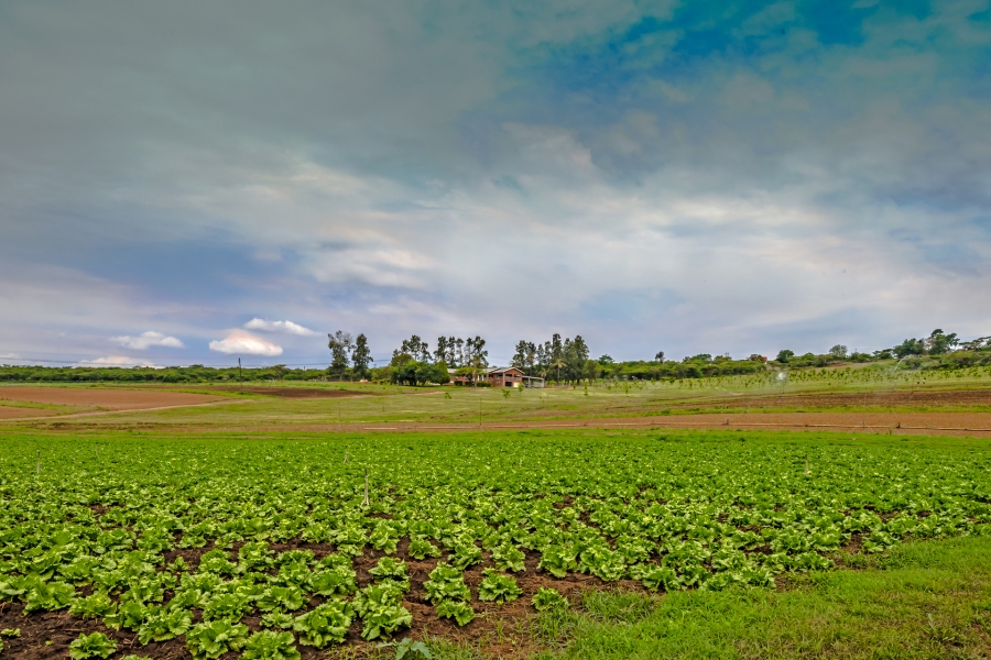 Commercial Property for Sale in Albert Falls KwaZulu-Natal