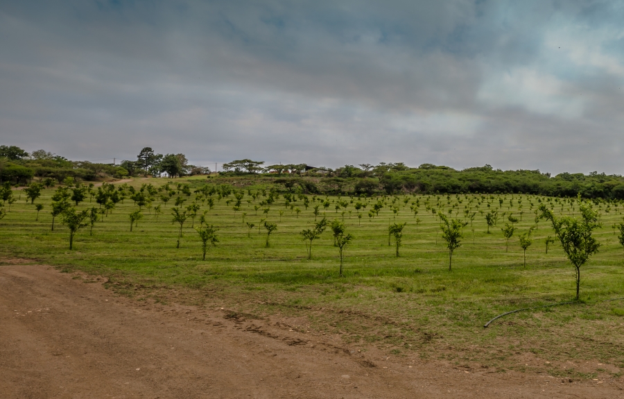 Commercial Property for Sale in Albert Falls KwaZulu-Natal