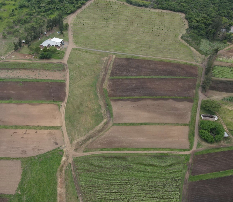 Commercial Property for Sale in Albert Falls KwaZulu-Natal