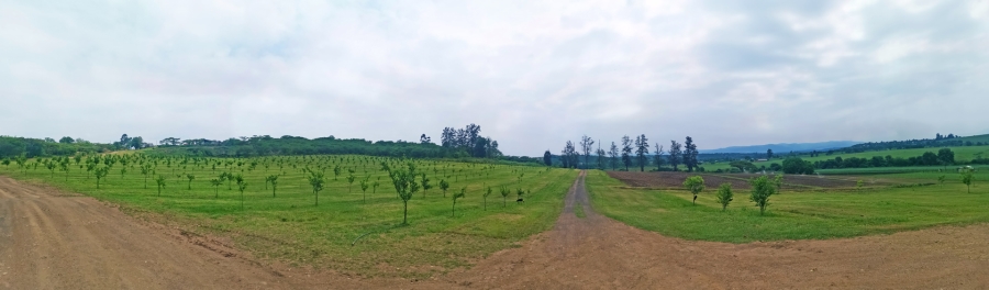 Commercial Property for Sale in Albert Falls KwaZulu-Natal