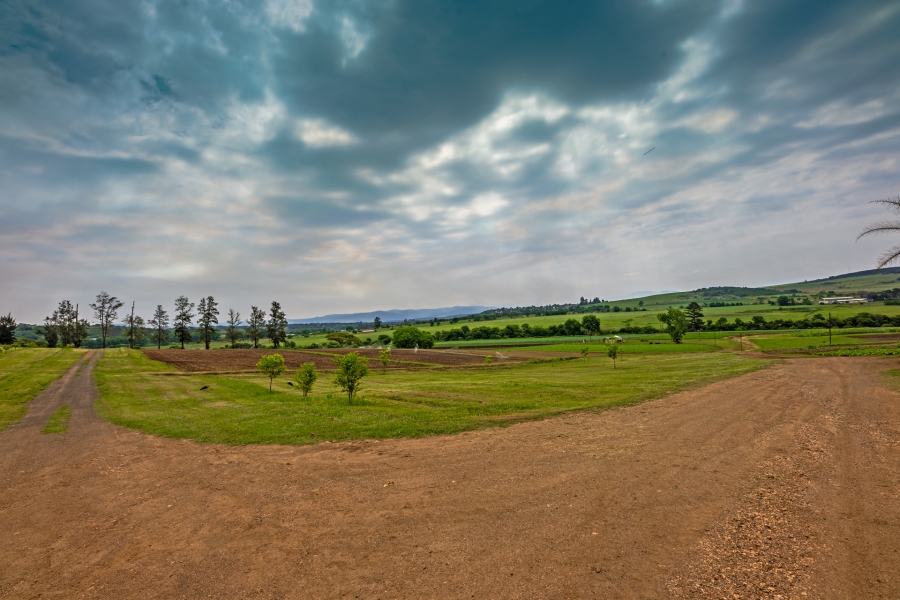 Commercial Property for Sale in Albert Falls KwaZulu-Natal