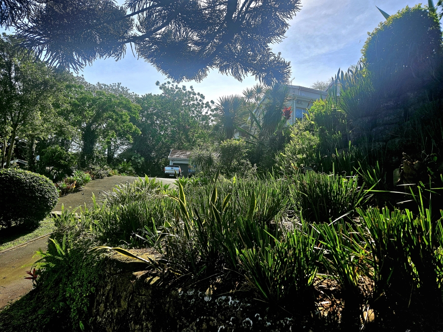 4 Bedroom Property for Sale in Westville Central KwaZulu-Natal