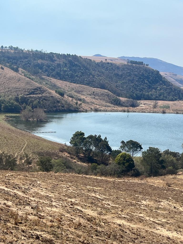 40 Bedroom Property for Sale in Estcourt Rural KwaZulu-Natal