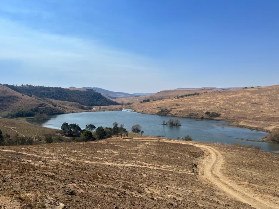 40 Bedroom Property for Sale in Estcourt Rural KwaZulu-Natal