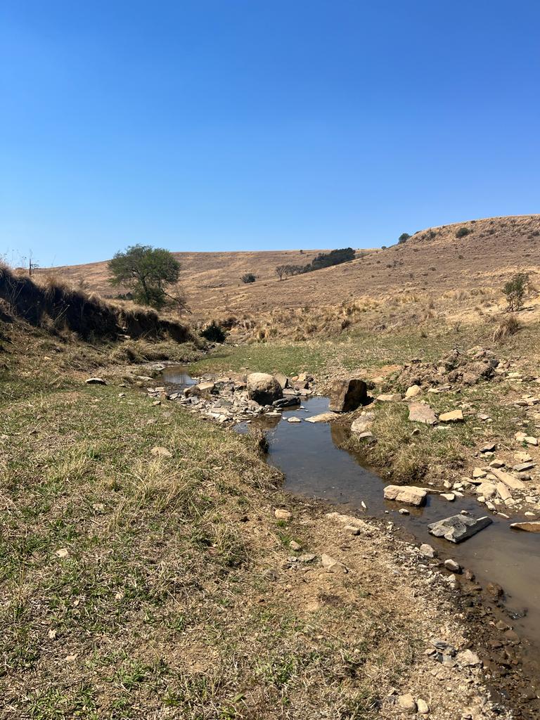 40 Bedroom Property for Sale in Estcourt Rural KwaZulu-Natal
