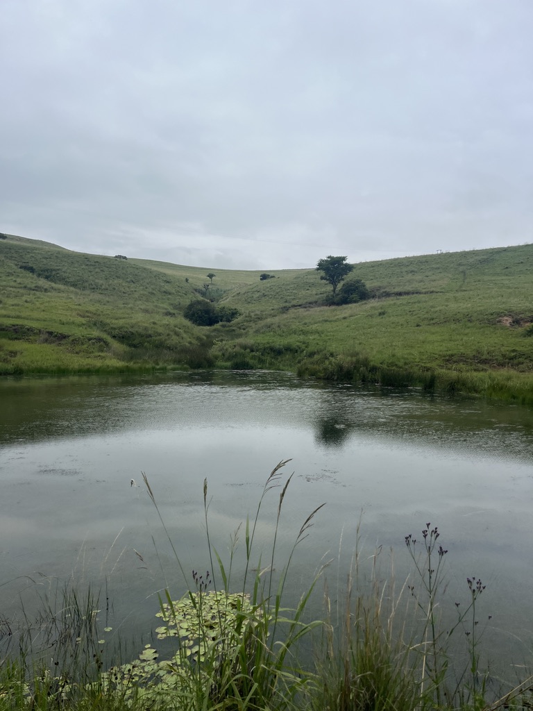 40 Bedroom Property for Sale in Estcourt Rural KwaZulu-Natal
