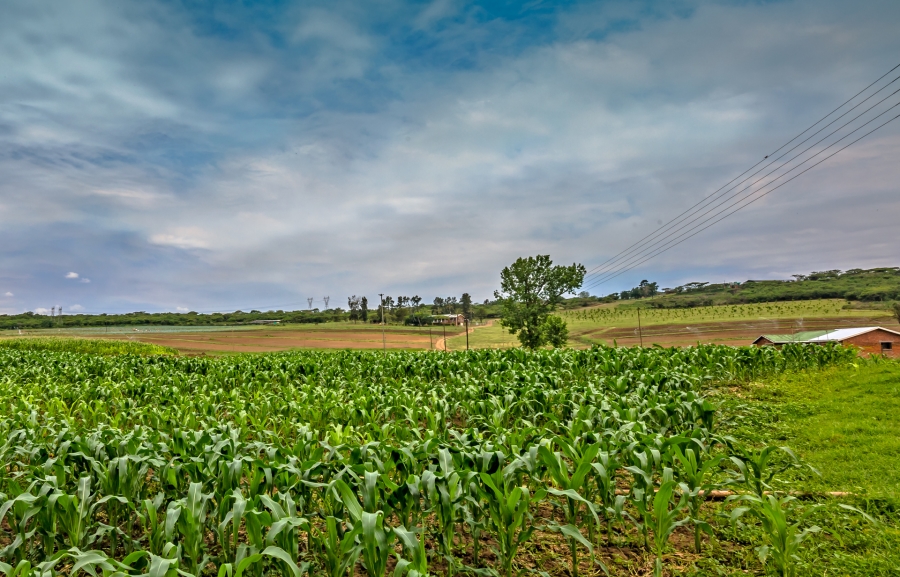 3 Bedroom Property for Sale in Albert Falls KwaZulu-Natal