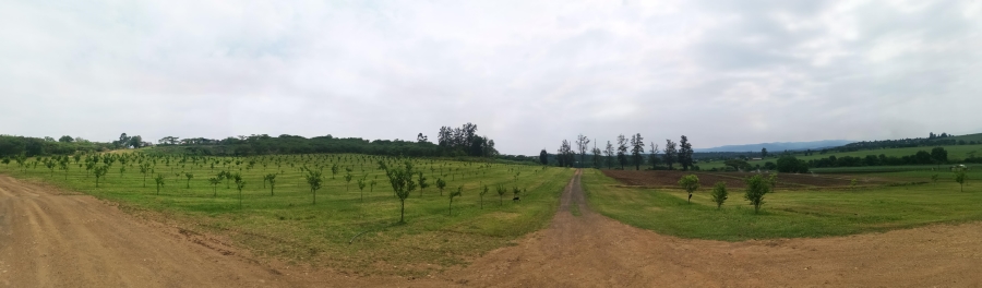 3 Bedroom Property for Sale in Albert Falls KwaZulu-Natal