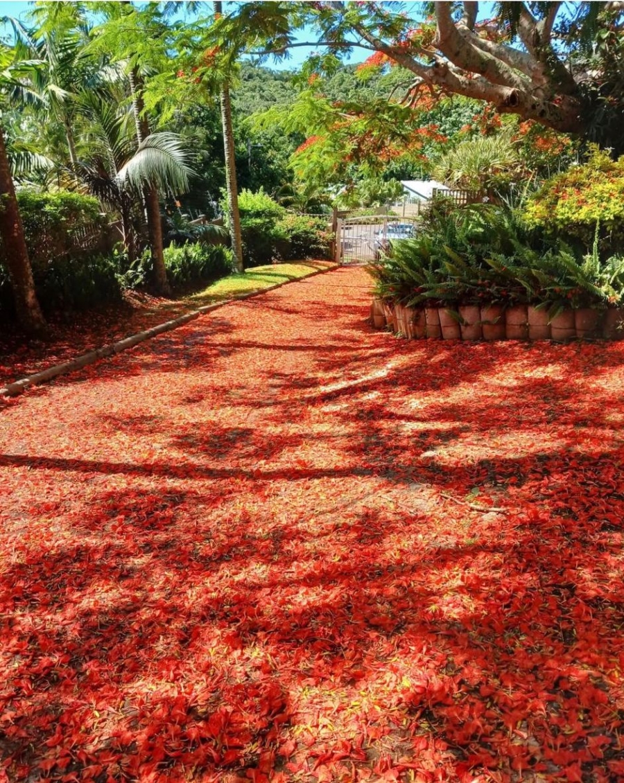 4 Bedroom Property for Sale in Ballito Central KwaZulu-Natal