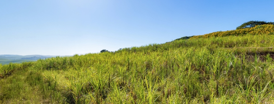 0 Bedroom Property for Sale in Sibaya Precinct KwaZulu-Natal