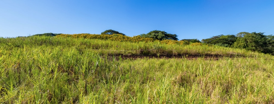 0 Bedroom Property for Sale in Sibaya Precinct KwaZulu-Natal