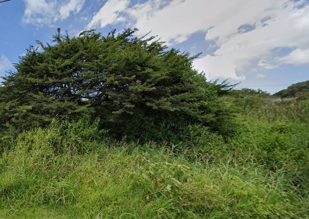 0 Bedroom Property for Sale in Gingindlovu KwaZulu-Natal