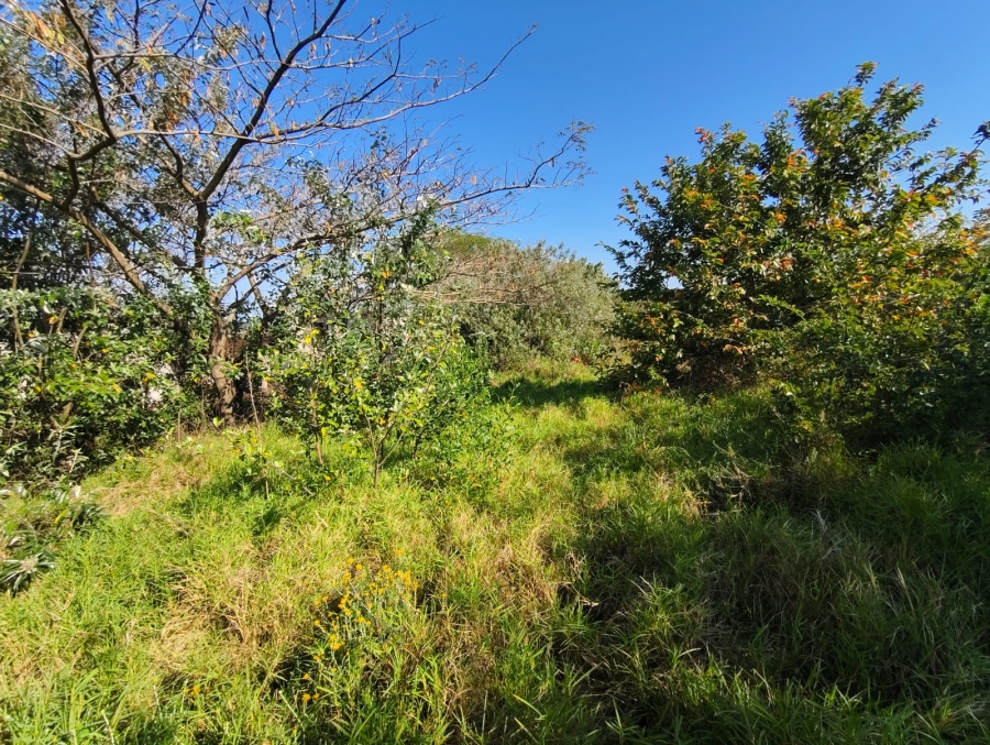 0 Bedroom Property for Sale in Zini River Estate KwaZulu-Natal