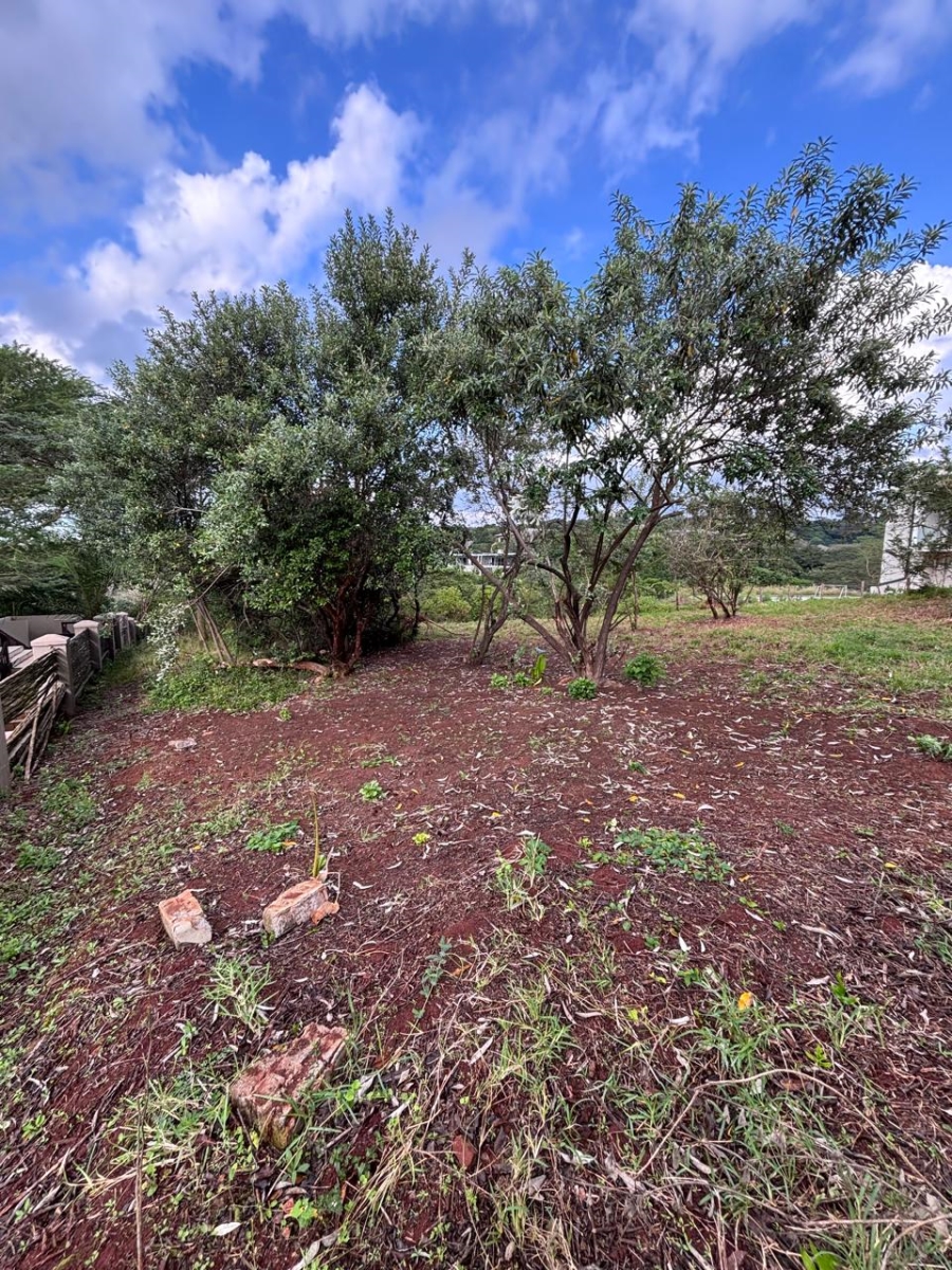 0 Bedroom Property for Sale in Zini River Estate KwaZulu-Natal