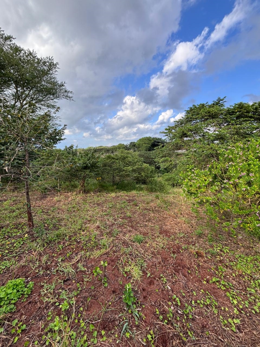 0 Bedroom Property for Sale in Zini River Estate KwaZulu-Natal