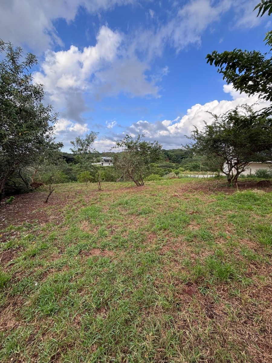 0 Bedroom Property for Sale in Zini River Estate KwaZulu-Natal