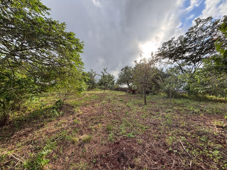 0 Bedroom Property for Sale in Zini River Estate KwaZulu-Natal