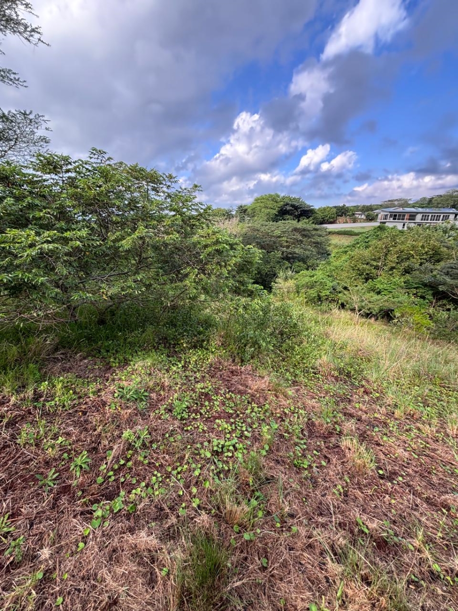 0 Bedroom Property for Sale in Zini River Estate KwaZulu-Natal