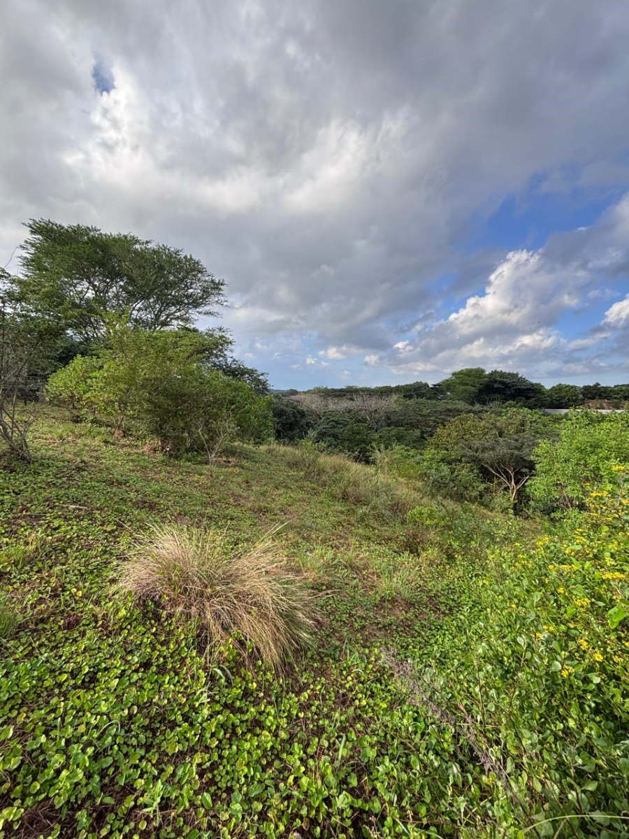 0 Bedroom Property for Sale in Zini River Estate KwaZulu-Natal
