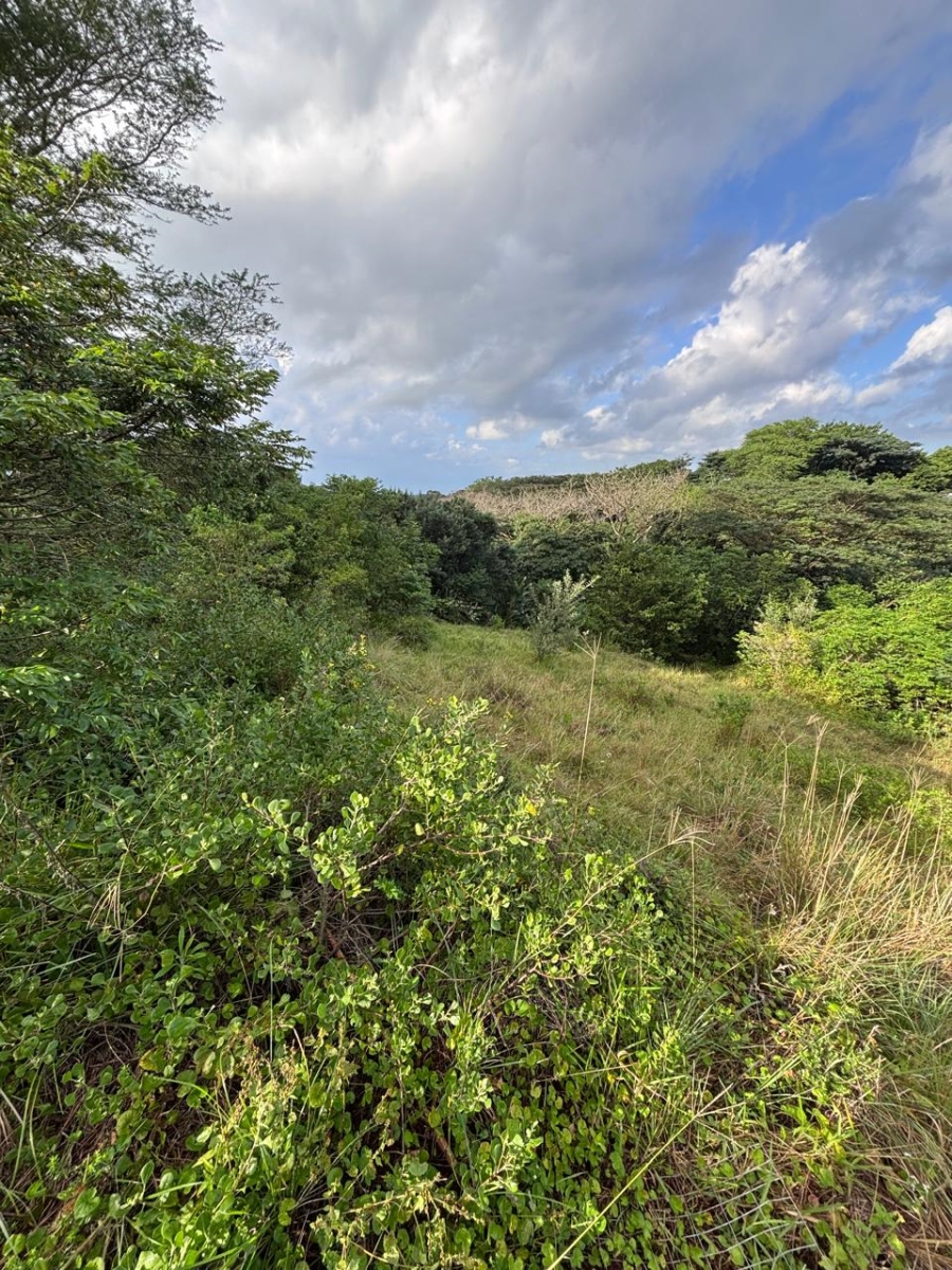 0 Bedroom Property for Sale in Zini River Estate KwaZulu-Natal