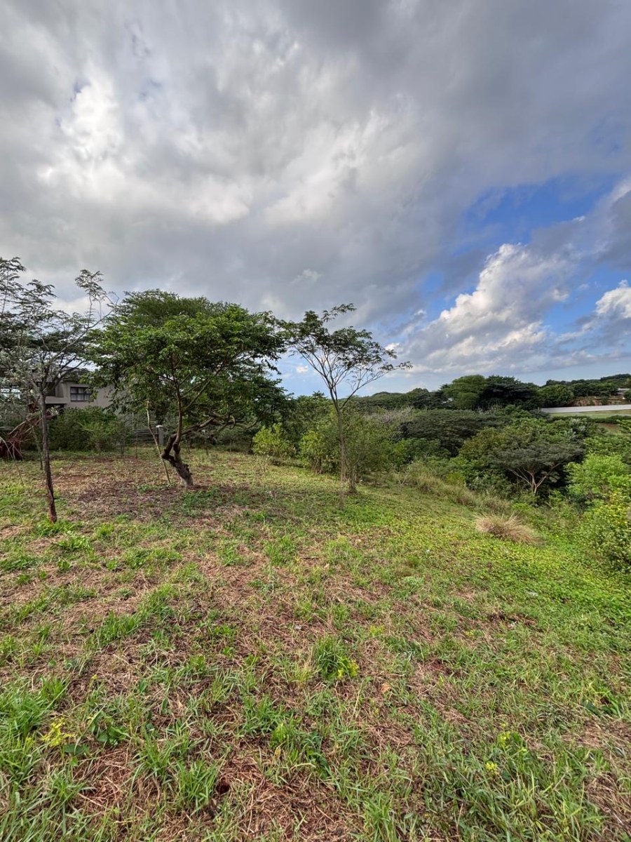 0 Bedroom Property for Sale in Zini River Estate KwaZulu-Natal