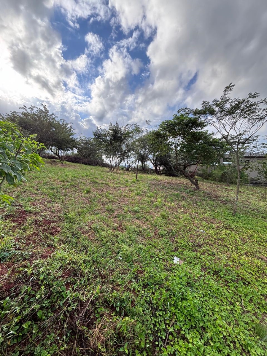 0 Bedroom Property for Sale in Zini River Estate KwaZulu-Natal