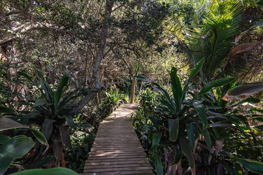 5 Bedroom Property for Sale in Zinkwazi Beach KwaZulu-Natal