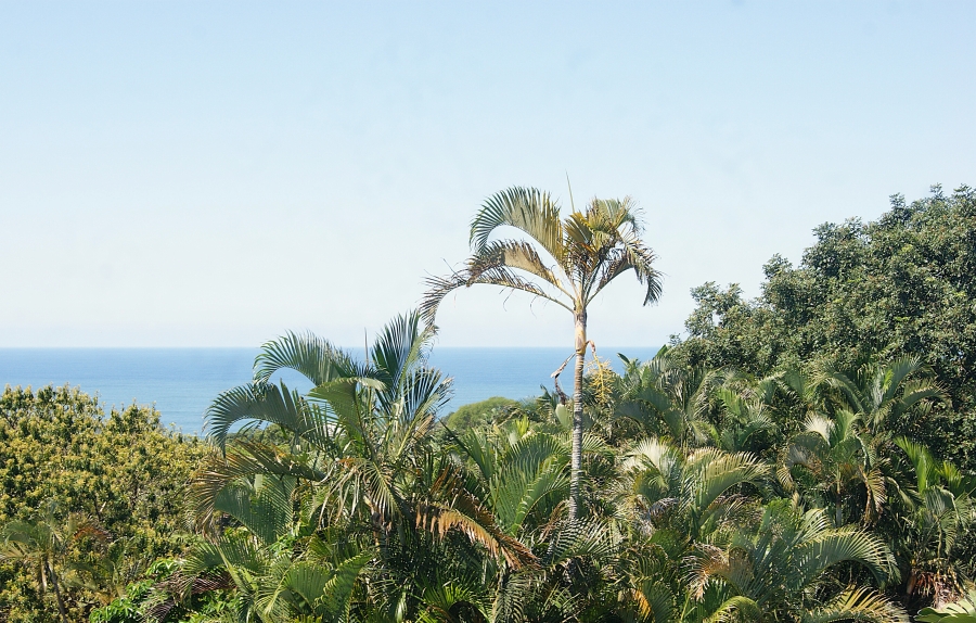 4 Bedroom Property for Sale in Blythedale KwaZulu-Natal