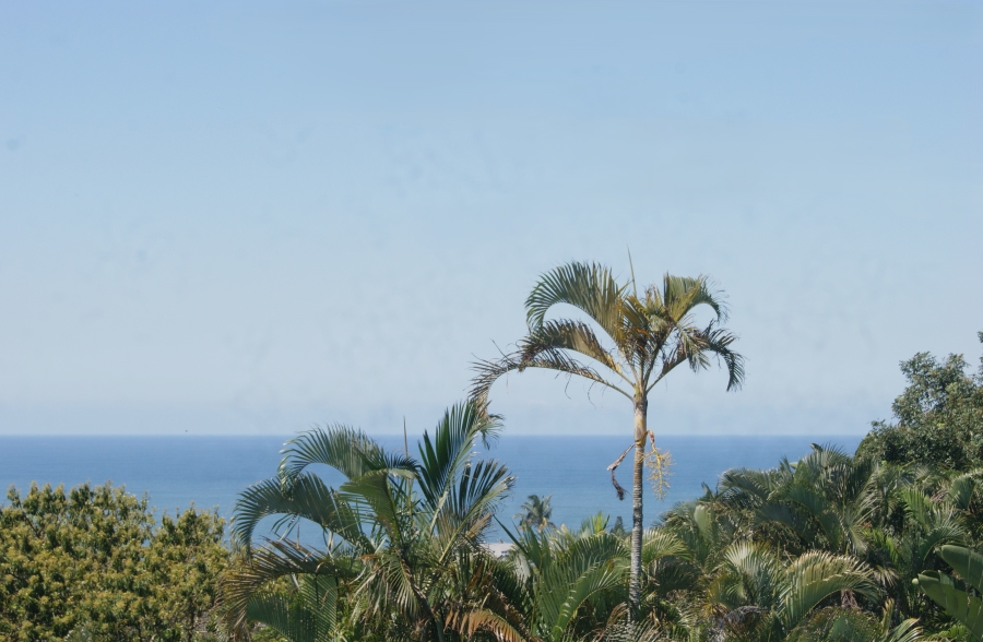 4 Bedroom Property for Sale in Blythedale KwaZulu-Natal