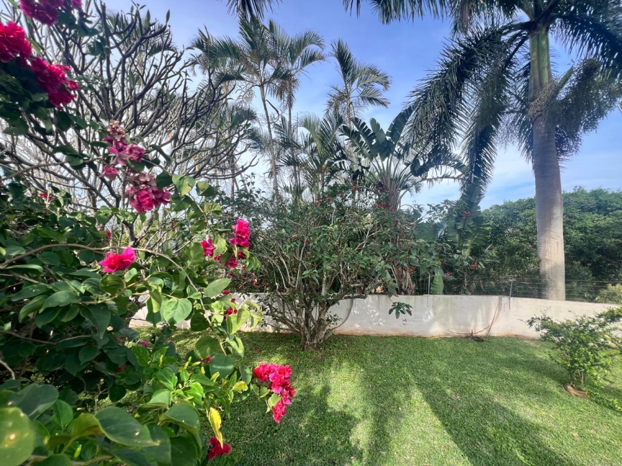 4 Bedroom Property for Sale in Mtunzini KwaZulu-Natal