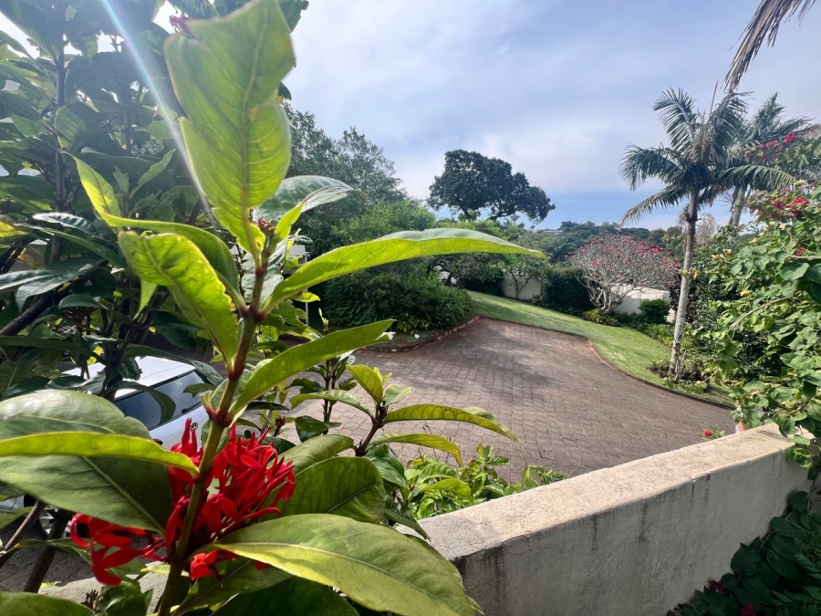 4 Bedroom Property for Sale in Mtunzini KwaZulu-Natal