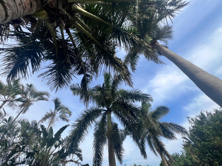 4 Bedroom Property for Sale in Mtunzini KwaZulu-Natal