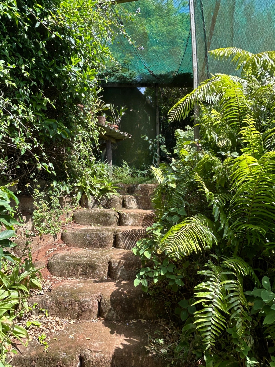 3 Bedroom Property for Sale in Mtunzini KwaZulu-Natal