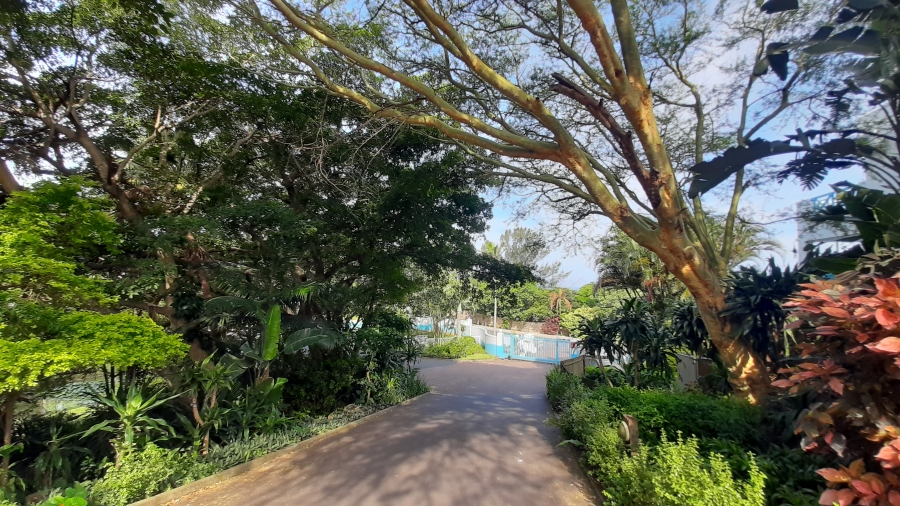 To Let 3 Bedroom Property for Rent in Shakas Rock KwaZulu-Natal