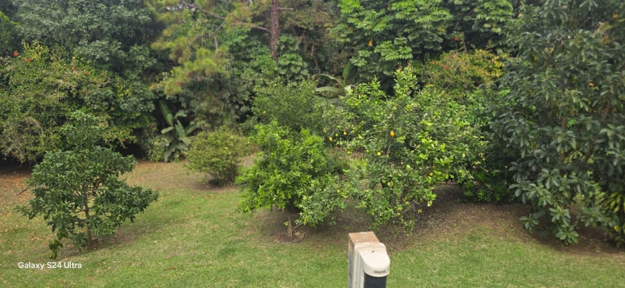 4 Bedroom Property for Sale in Fairview KwaZulu-Natal