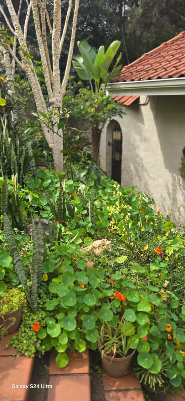 4 Bedroom Property for Sale in Fairview KwaZulu-Natal