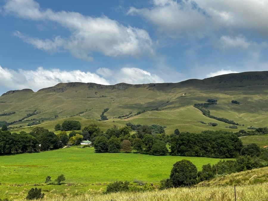 6 Bedroom Property for Sale in Dargle KwaZulu-Natal