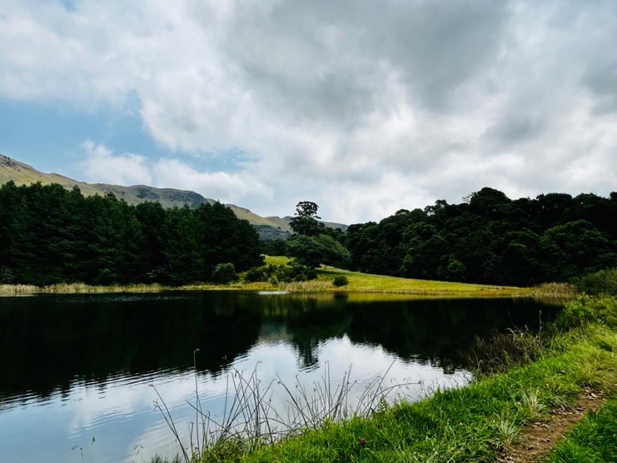 6 Bedroom Property for Sale in Dargle KwaZulu-Natal