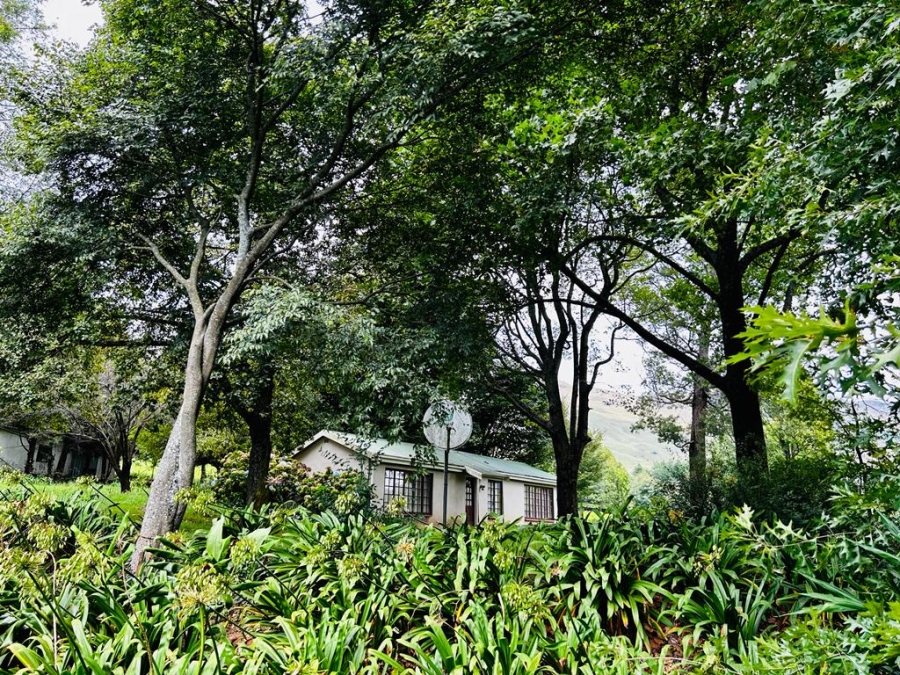 6 Bedroom Property for Sale in Dargle KwaZulu-Natal