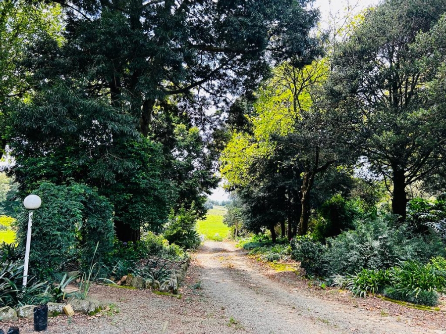 6 Bedroom Property for Sale in Dargle KwaZulu-Natal