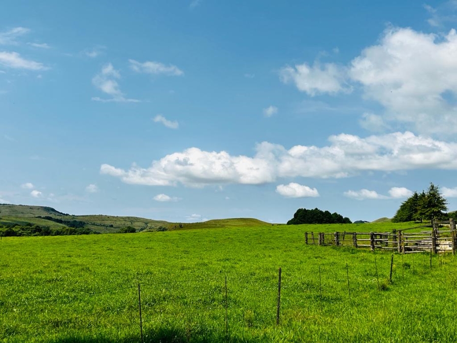 6 Bedroom Property for Sale in Dargle KwaZulu-Natal