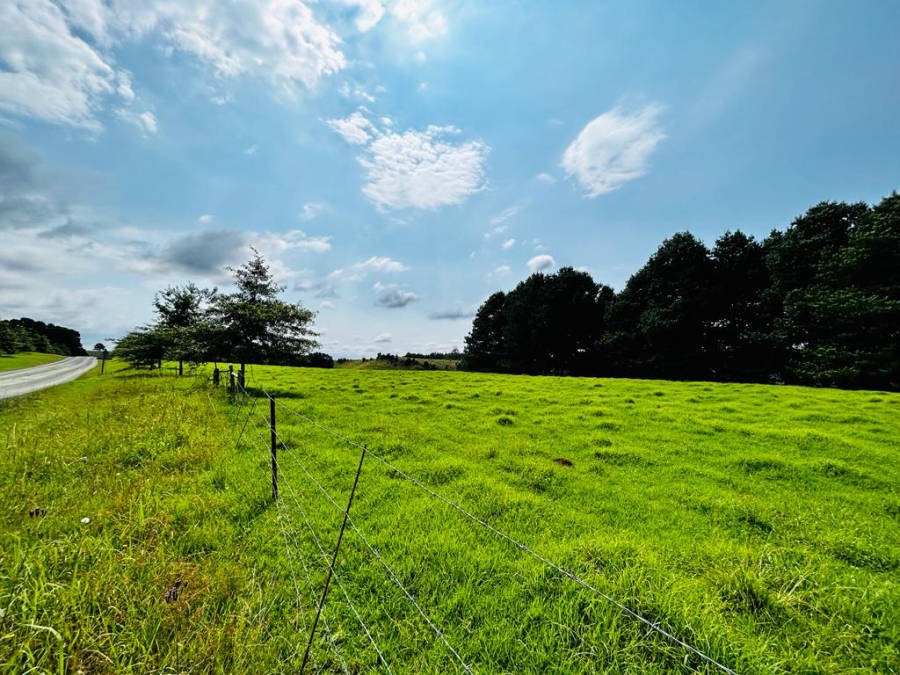 6 Bedroom Property for Sale in Dargle KwaZulu-Natal