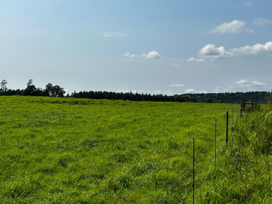 6 Bedroom Property for Sale in Dargle KwaZulu-Natal