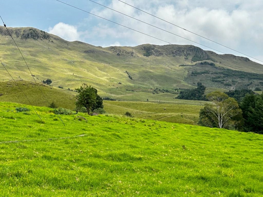 6 Bedroom Property for Sale in Dargle KwaZulu-Natal