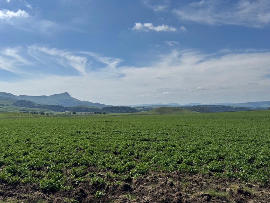 0 Bedroom Property for Sale in Dargle KwaZulu-Natal