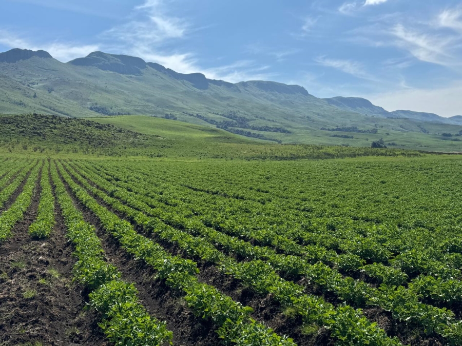 0 Bedroom Property for Sale in Dargle KwaZulu-Natal